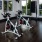 spin bikes at apartment fitness center with treadmills at 1333 South Ocean apartments in Pompano Beach